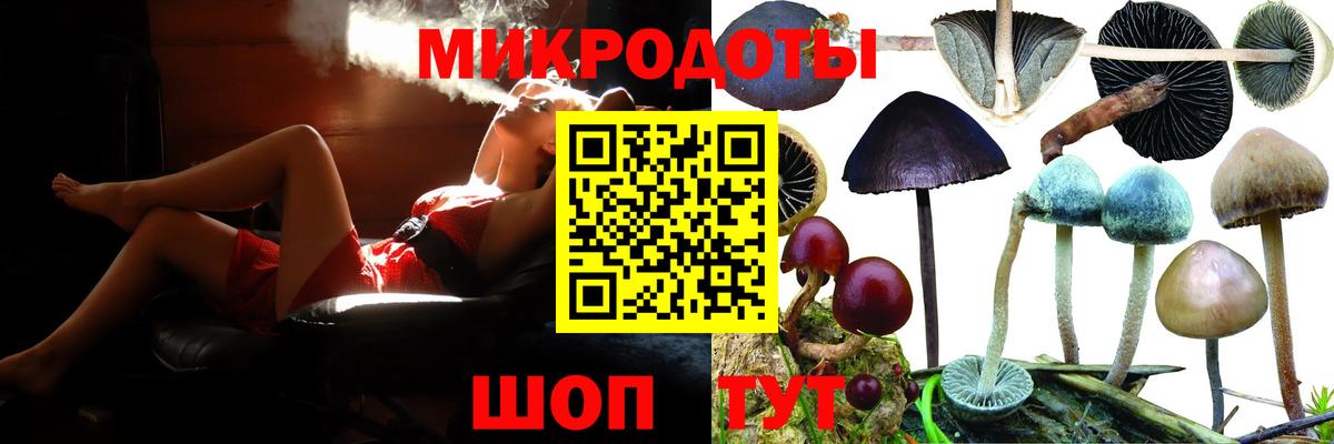 Брянск  даркнет сайт  Галлюциногенные грибы Psilocybe  Вход с VPN  Галлюциногенные грибы Cubensis 